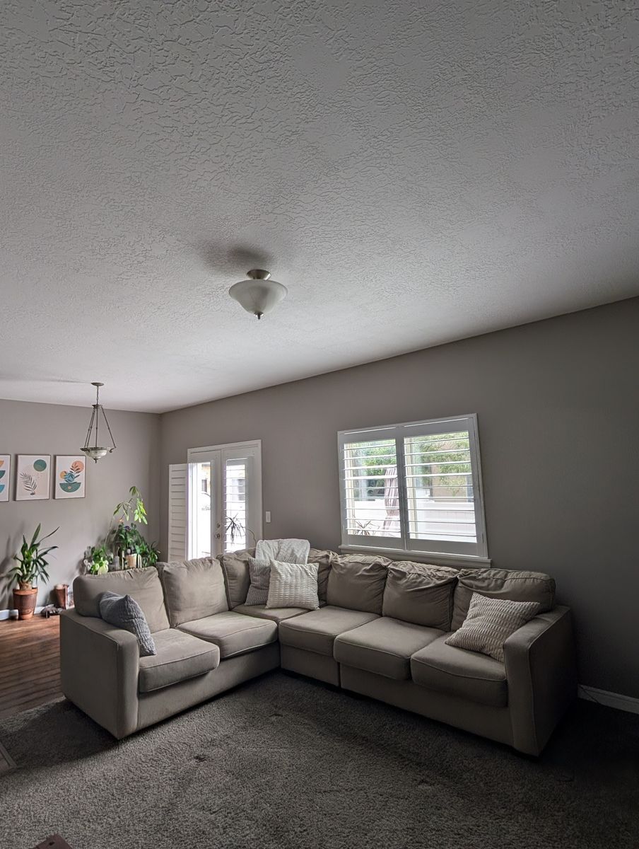 Massive Family-Sized Sectional...Seats Everyone