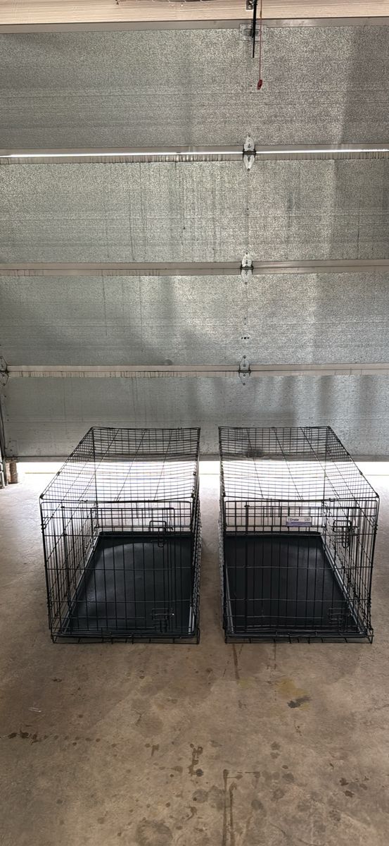 Dog kennel 