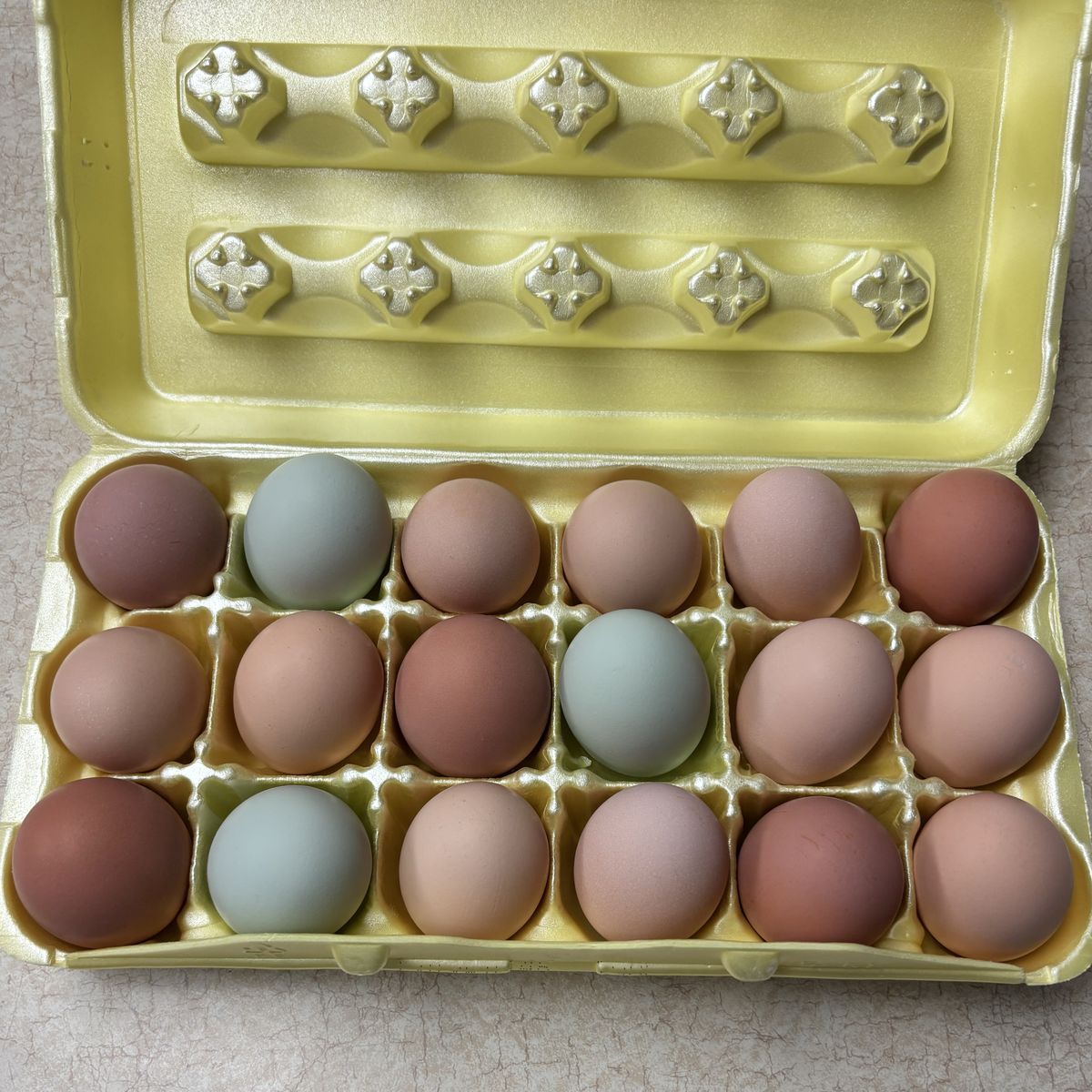 Fresh Chicken Eggs