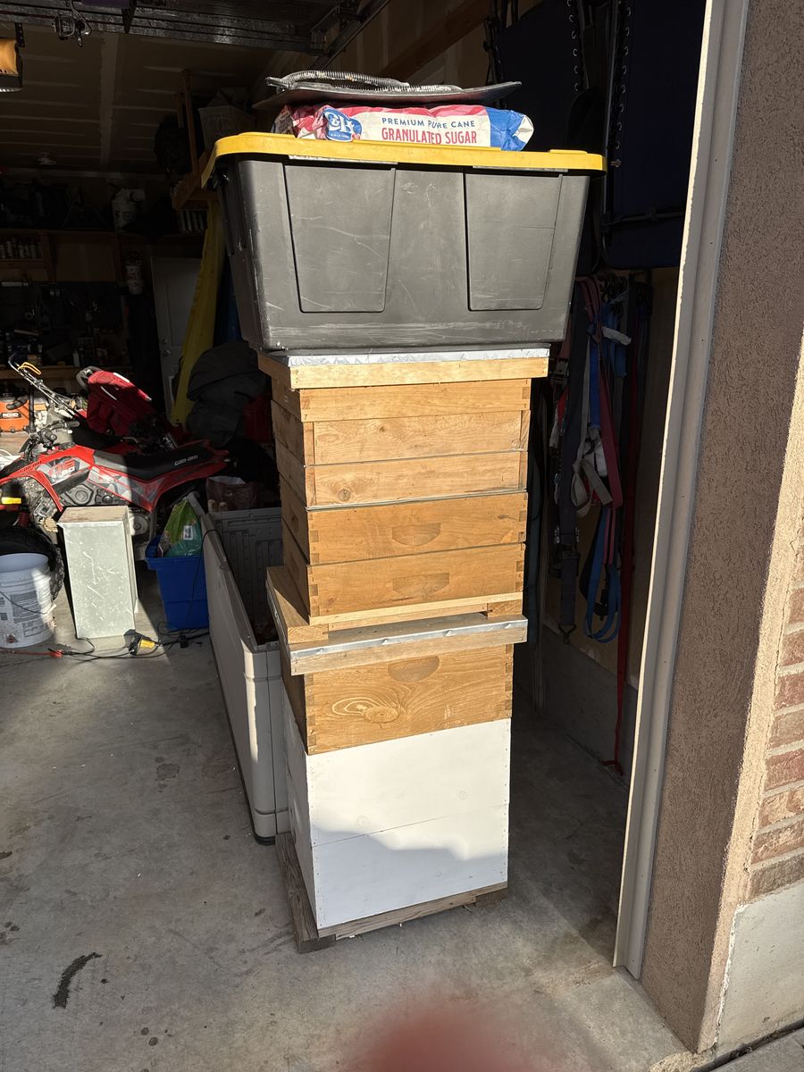 BeeHive bee Keeping Everything You Need