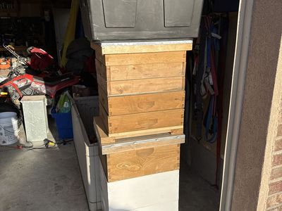 BeeHive bee Keeping Everything You Need