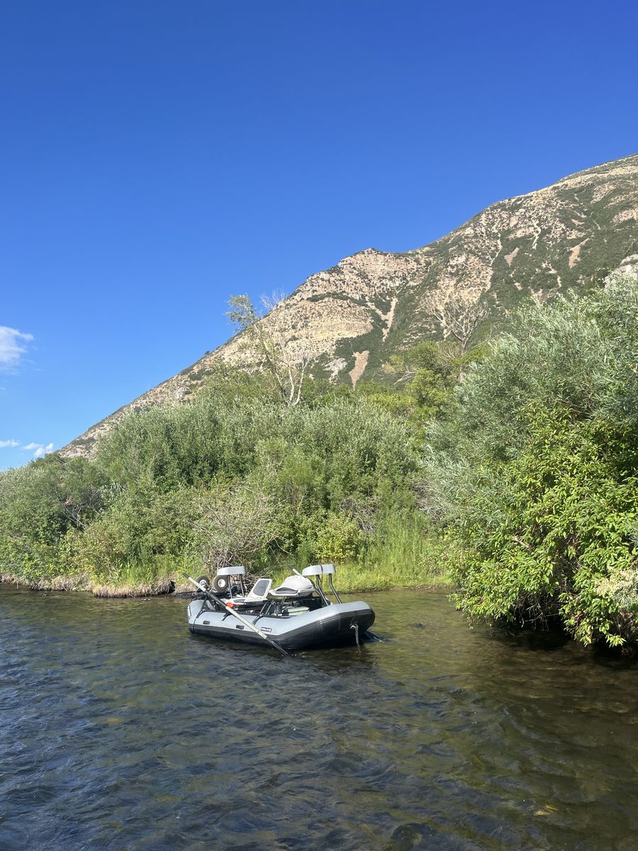 Main image 5