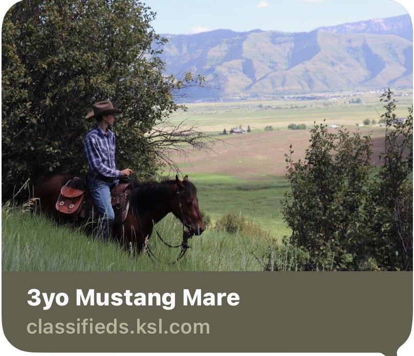 ISO WY ranch (Afton?) from this Listing last fall.
