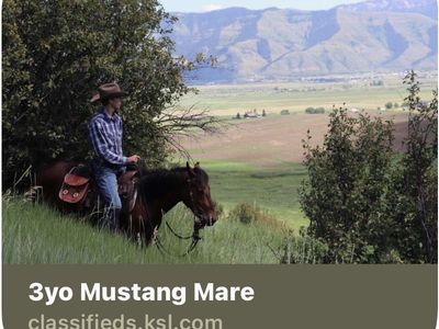 ISO WY ranch (Afton?) from this Listing last fall.