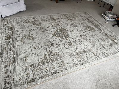 Gorgeous Plush Area Rug