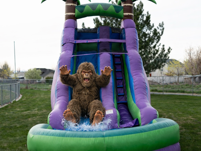 Purple Palm Plunge Inflatable Water Slide Rental