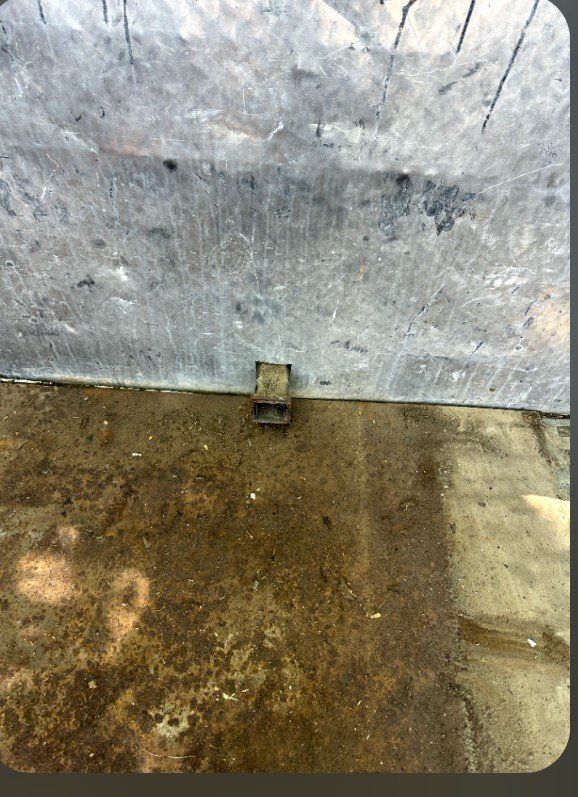 Main image 5