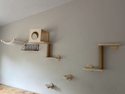 Complete Boho kitten supplies!