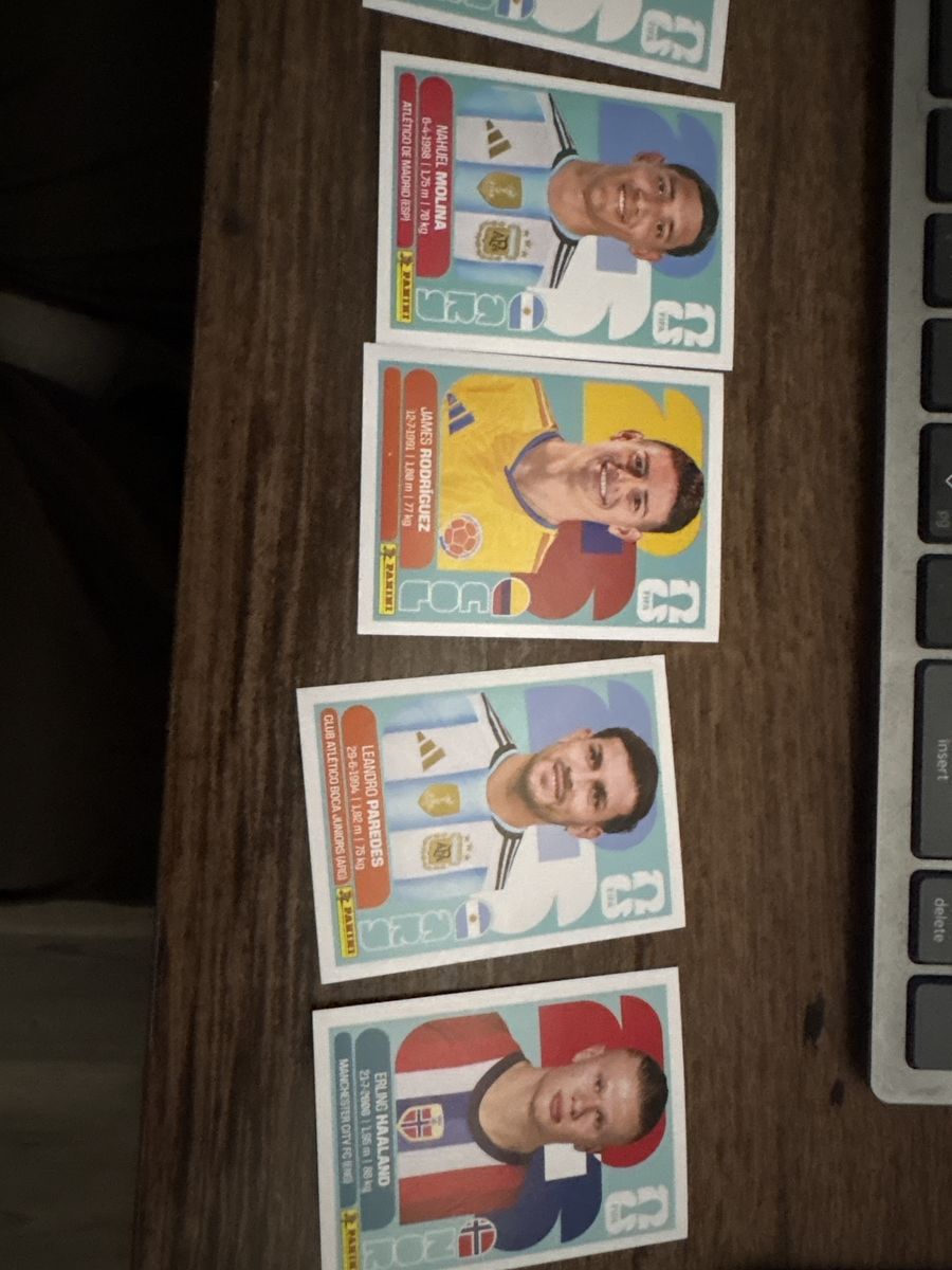 Panini stickers for sale or trade
