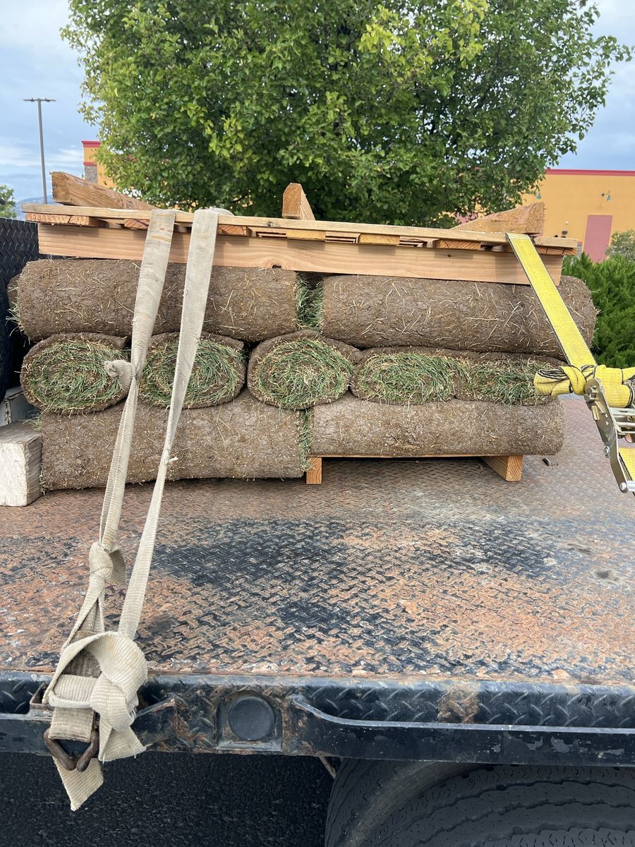 Fresh Sod Grass Rolls - Pallet Quantityd