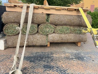 Fresh Sod Grass Rolls - Pallet Quantityd