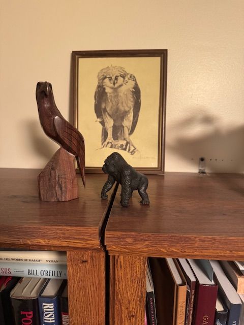 Sketch owl; gorilla and wooden bird