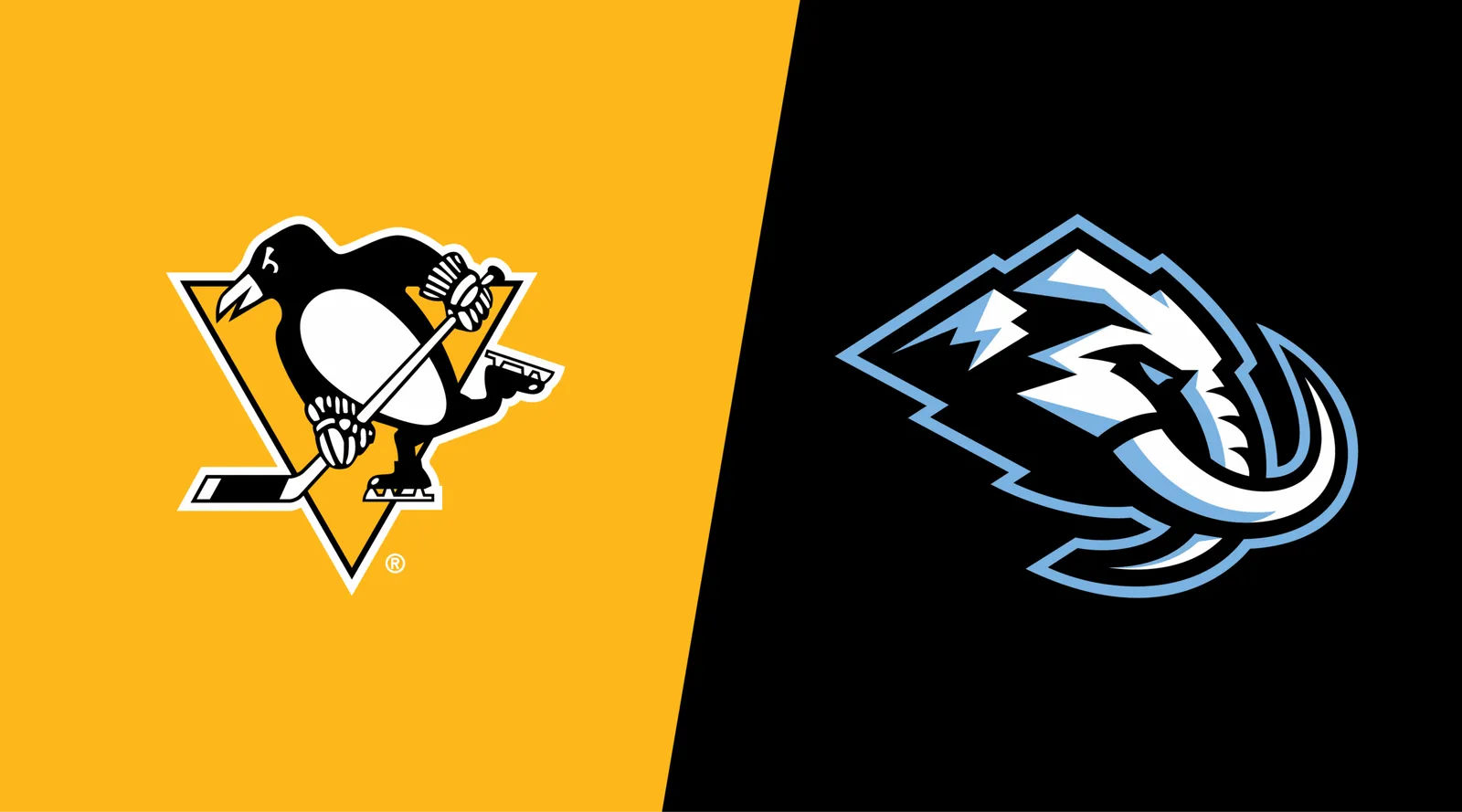 Mammoth Penguins center ice tickets