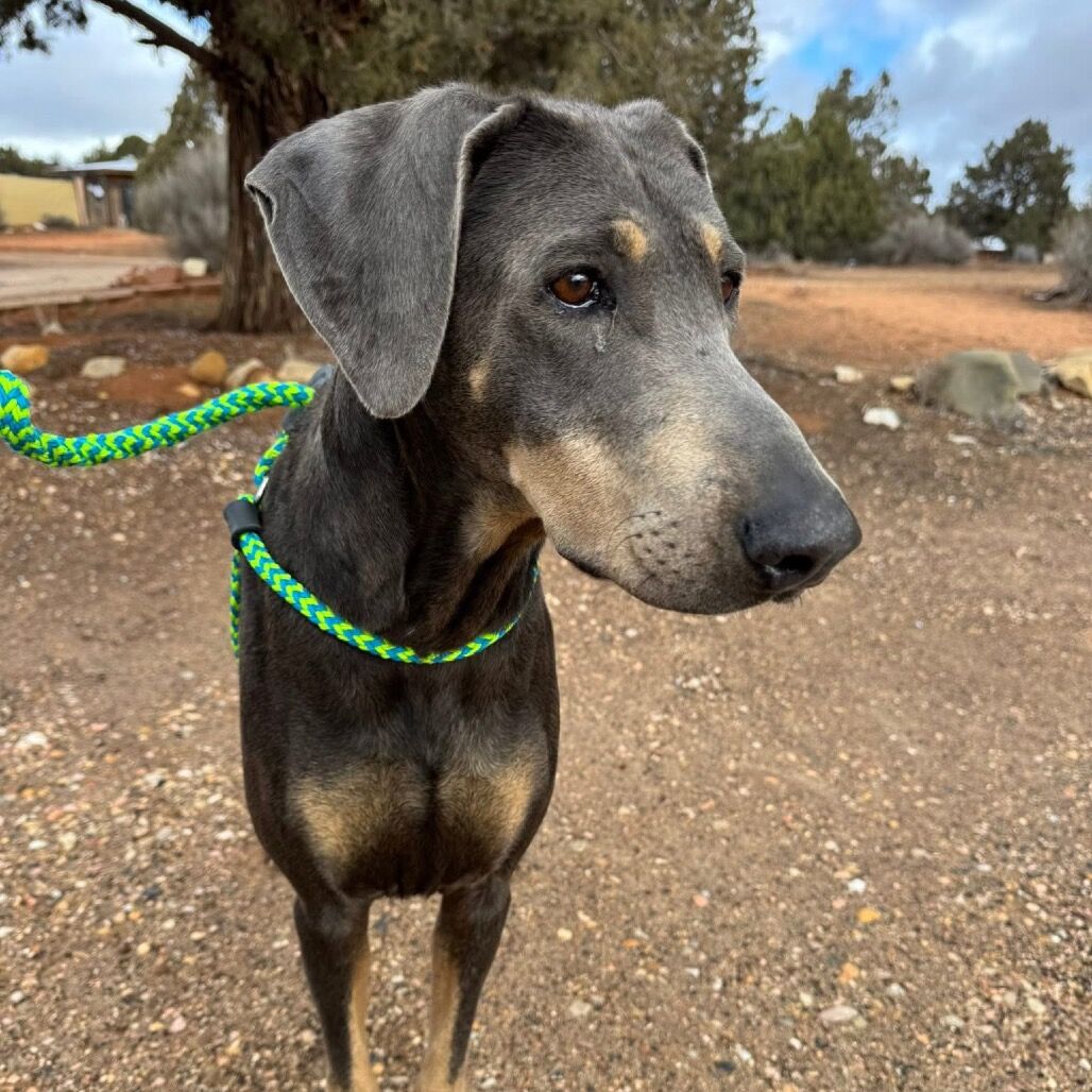 Hello my name is Frau