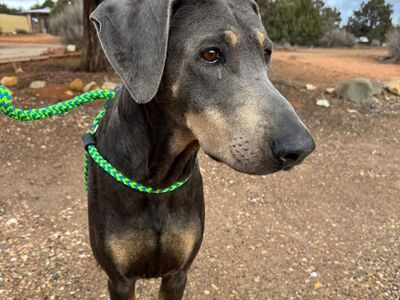 Hello my name is Frau