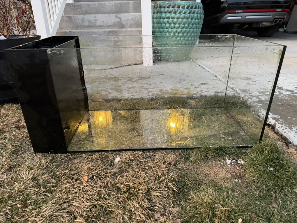 Fiji Cube 38 Gallon Lagoon Tank