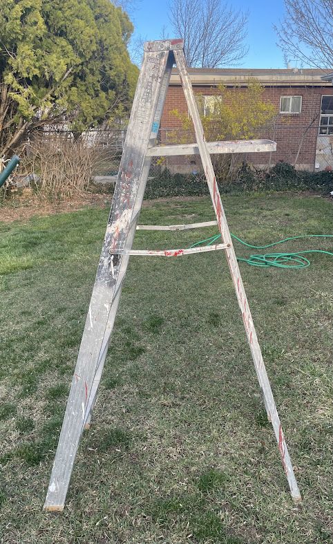 Werner 6 ft ladder