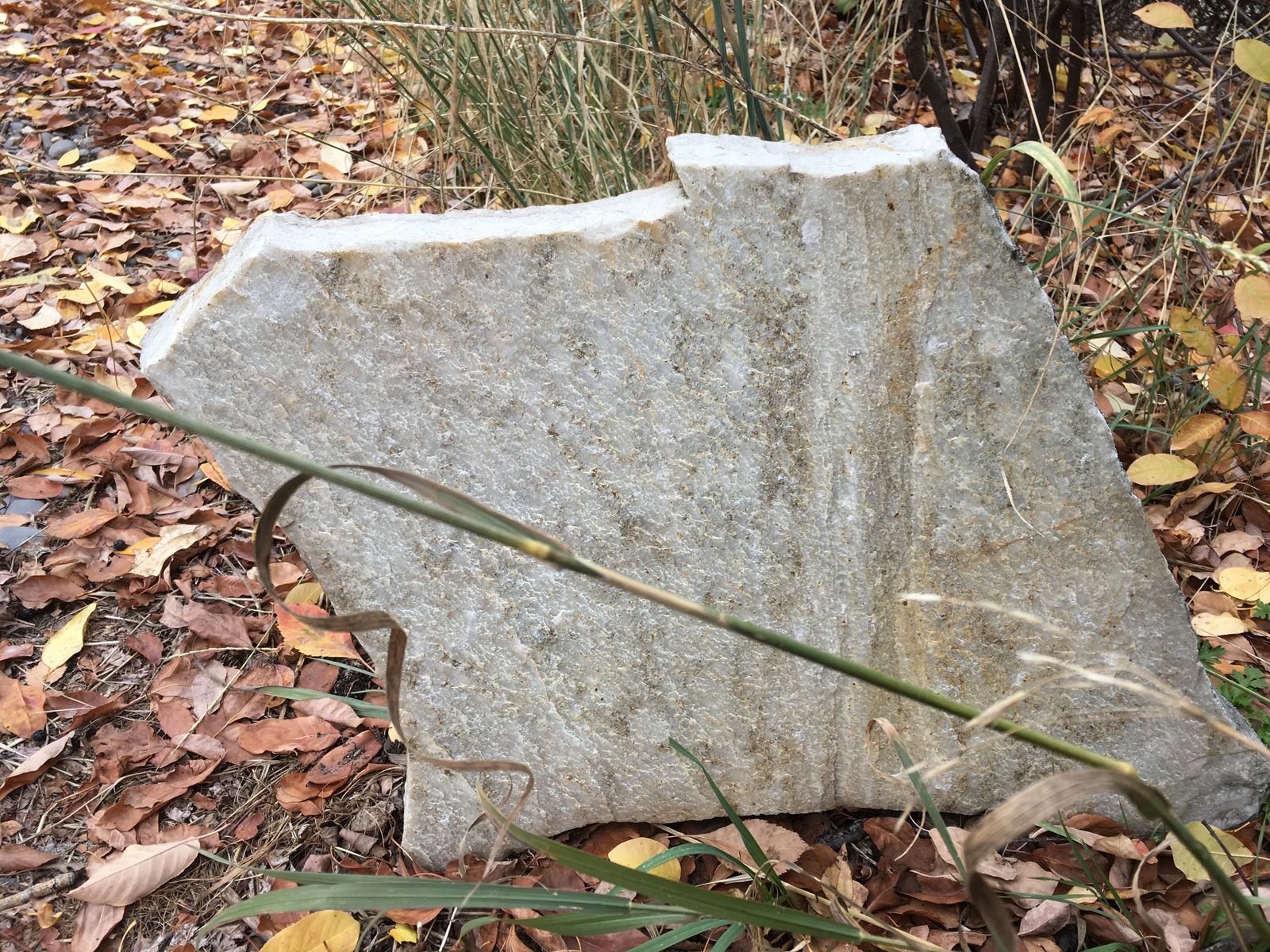 Hard to find White Quartzite Rock