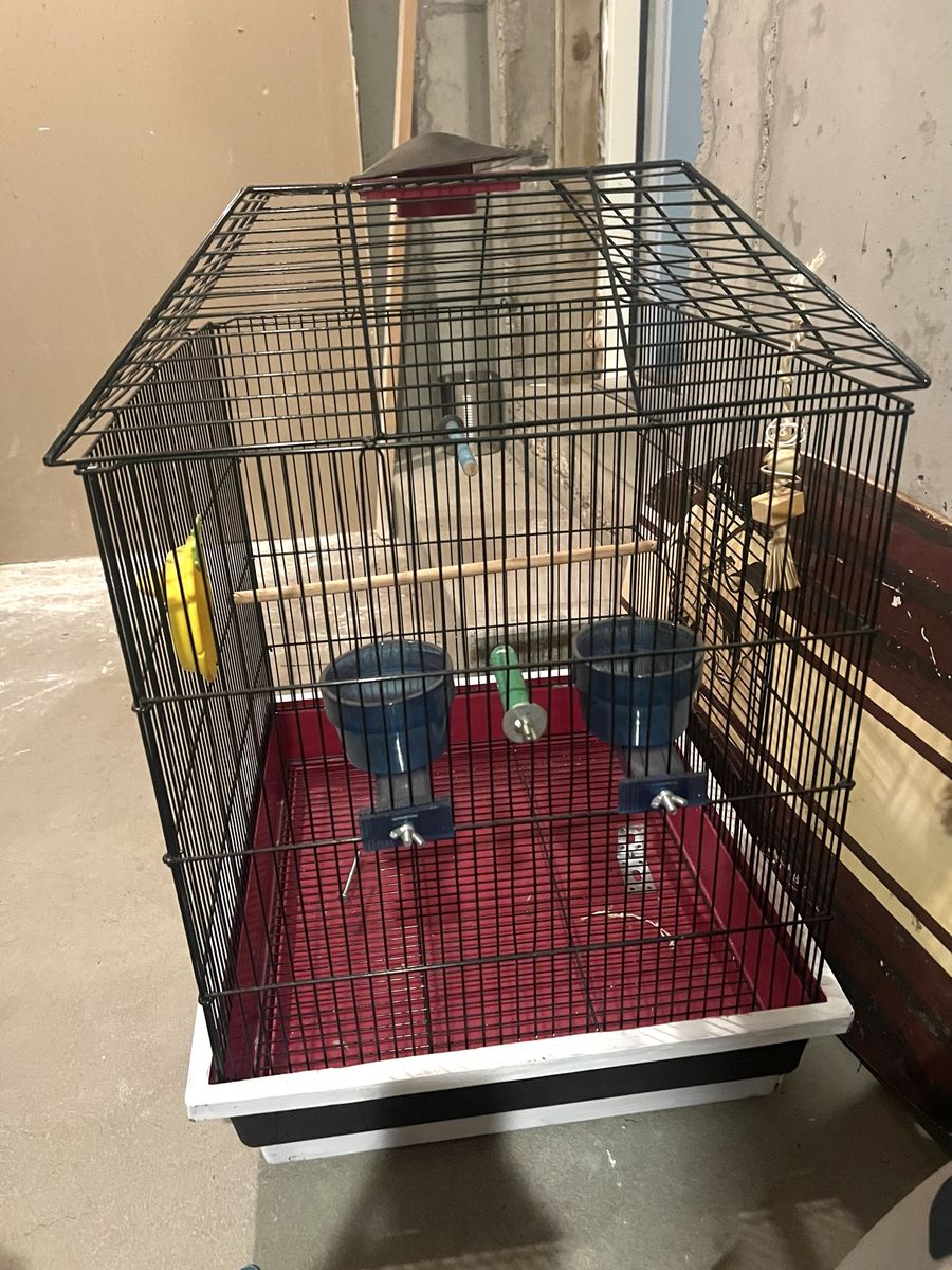 Bird cage
