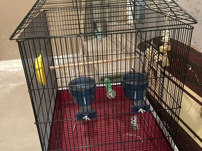 Bird cage