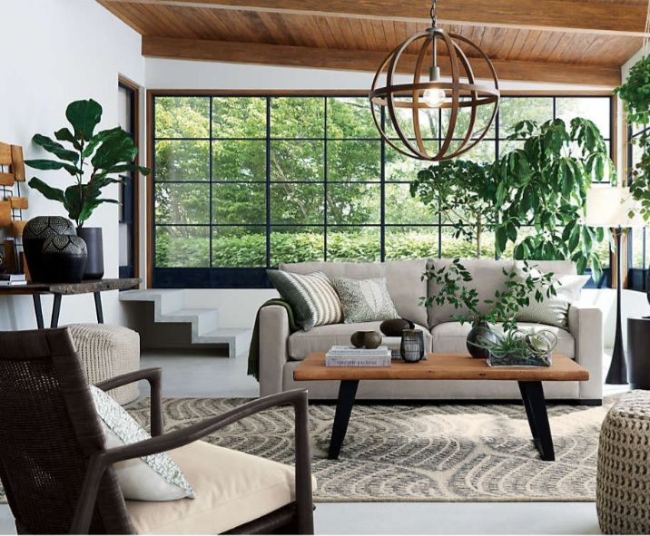 Crate and barrel Acaia wood live edge coffee table. 