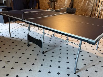 Ping Pong Table