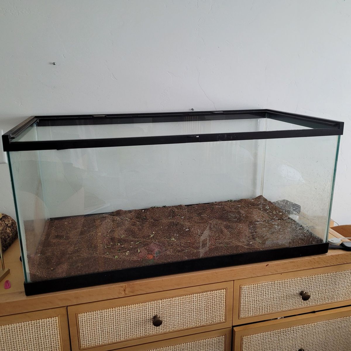 Glass Reptile Terrarium Encolsure
