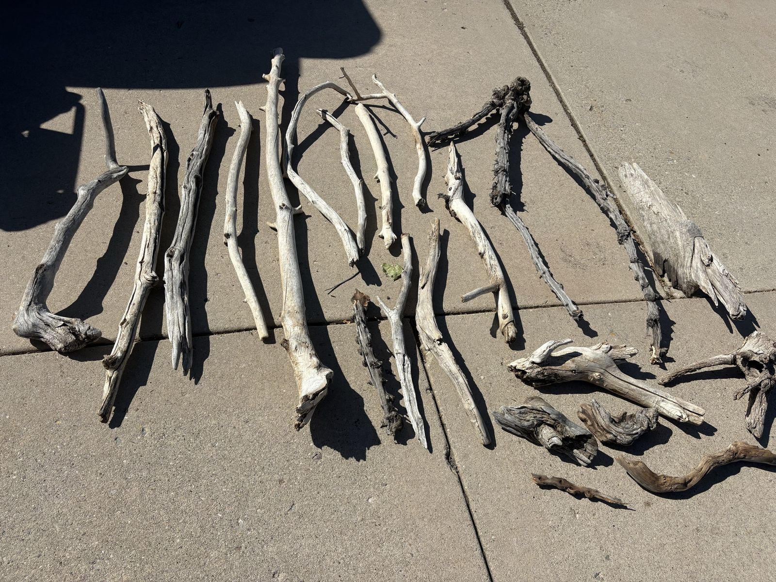 Various natural driftwood