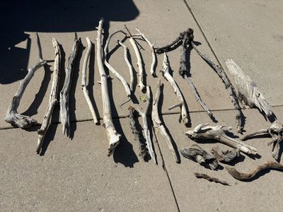Various natural driftwood