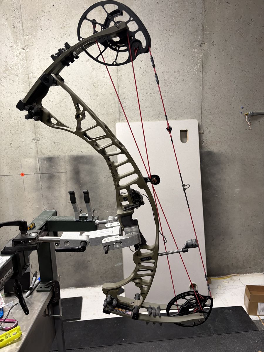 Hoyt vtm 31