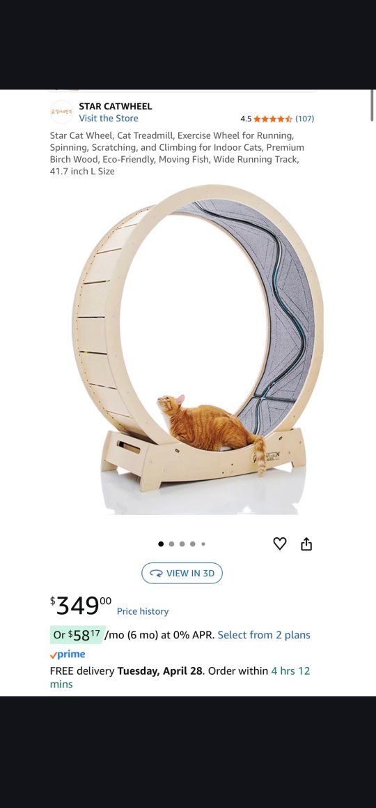 New Star Large Cat Wheel with Moving Fish