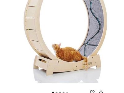 New Star Large Cat Wheel with Moving Fish