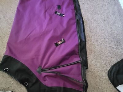 GOOD QUALITY HORSE AND BLANKETS AND NECK BLANKETS