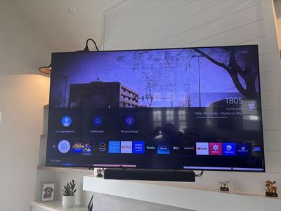 65" Samsung TV w/ Bose Sound Bar