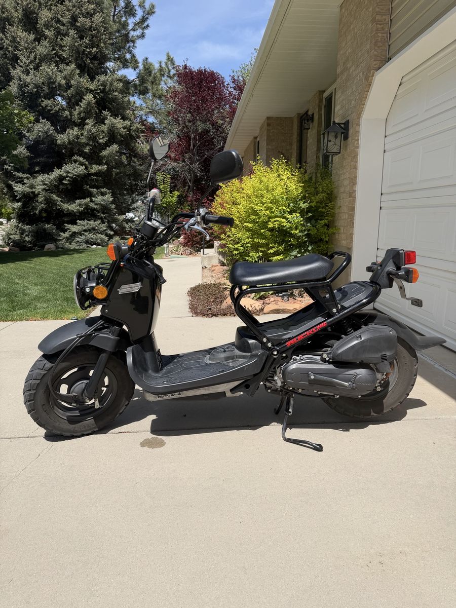 2013 Honda Ruckus