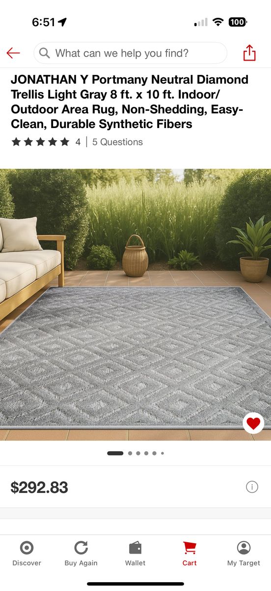2 8x10 Outdoor Rugs