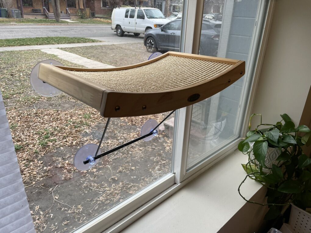 Cat Perch Suction Cup For Windows
