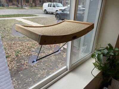 Cat Perch Suction Cup For Windows