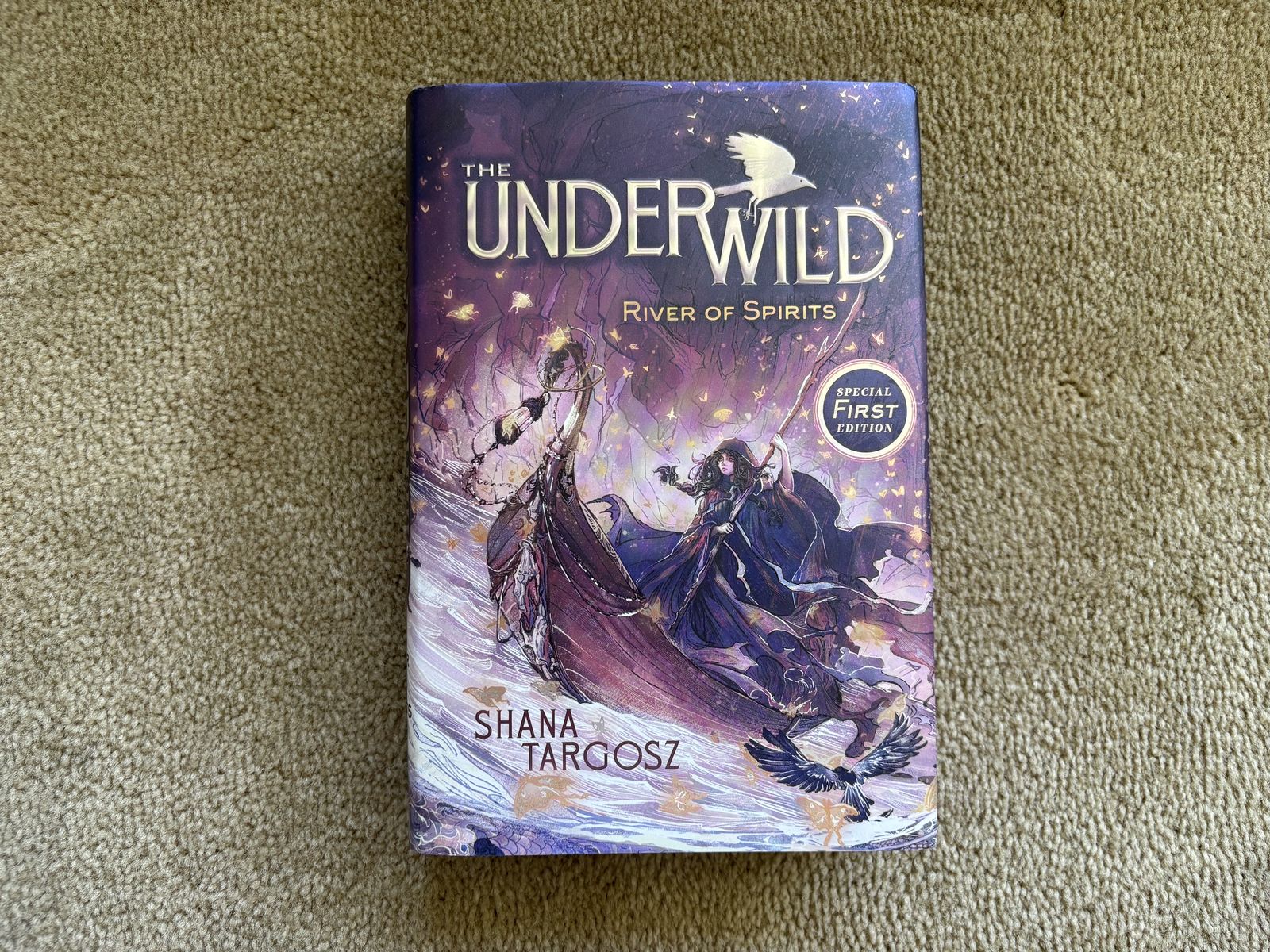 The Underwild: River of Spirits (Book One), by Shana Targosz (hardcover)