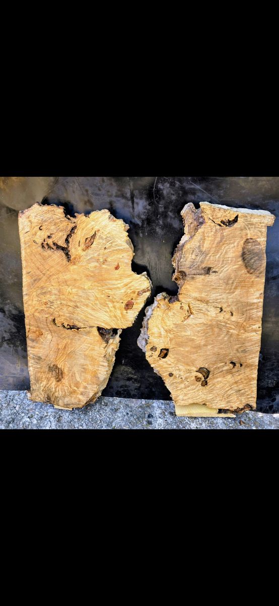 Live Edge BoxElder burl & Mulberry wood  Slabs 18" long 10"/6" wide 1.5 thick