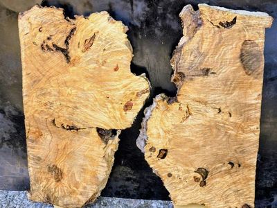 Live Edge BoxElder burl & Mulberry wood Slabs 18" long 10"/6" wide 1.5 thick