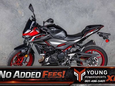 2025 Kawasaki Z500 SE ABS