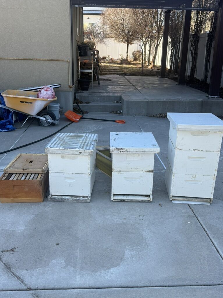 Beehive honey boxes