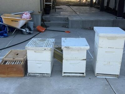Beehive honey boxes