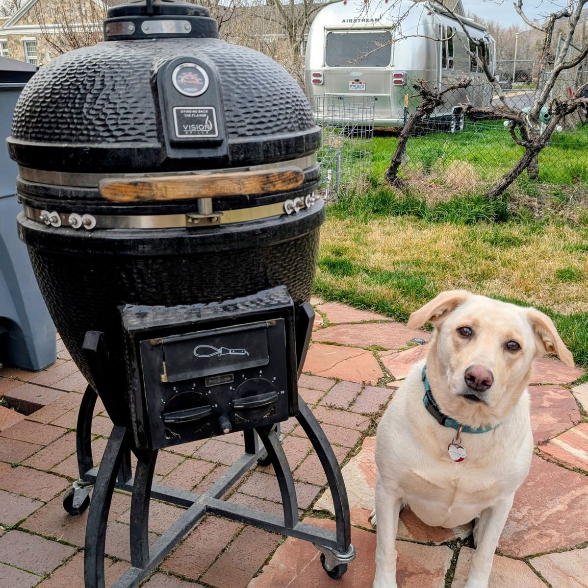 Kamado Grill, Lab Not Included