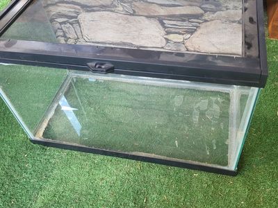 10 Gallon critter habitat