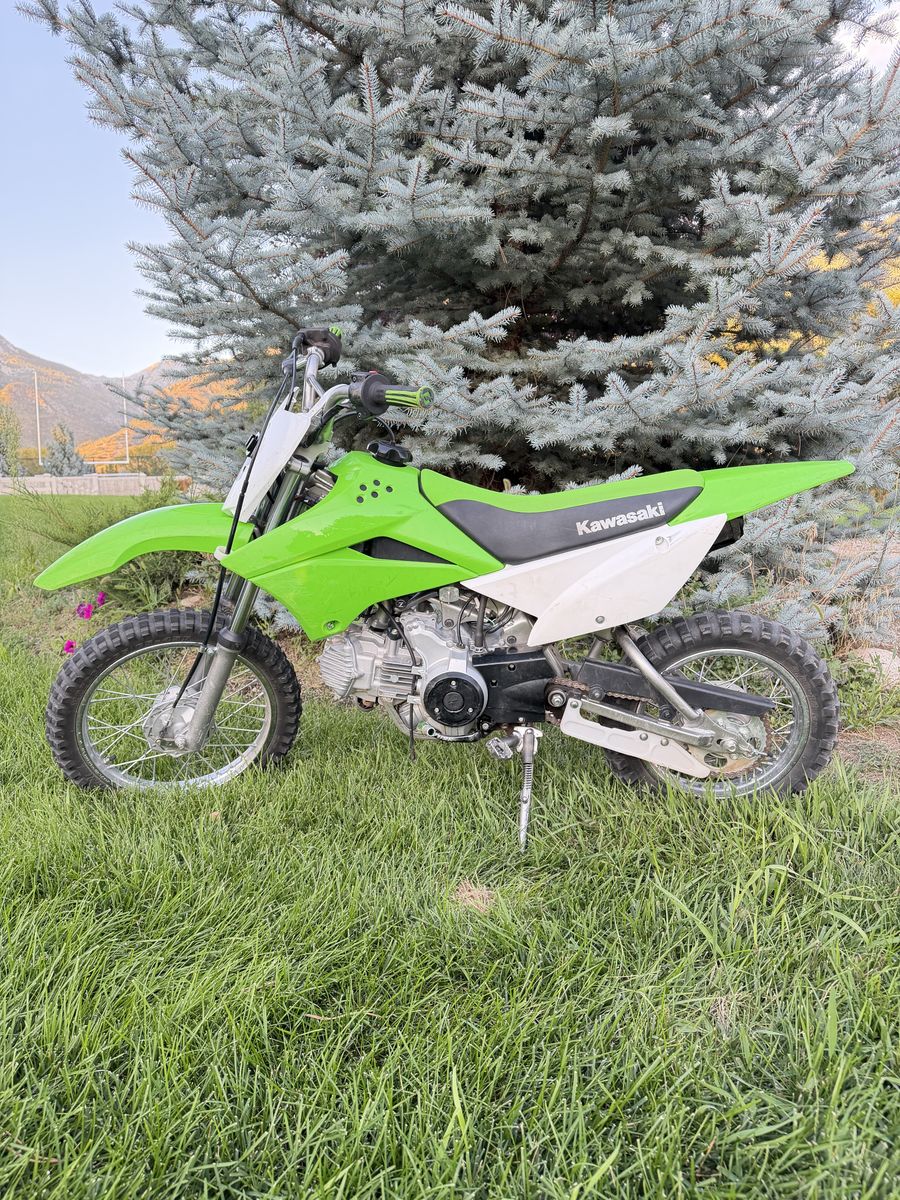 2019 Kawasaki KLX 110