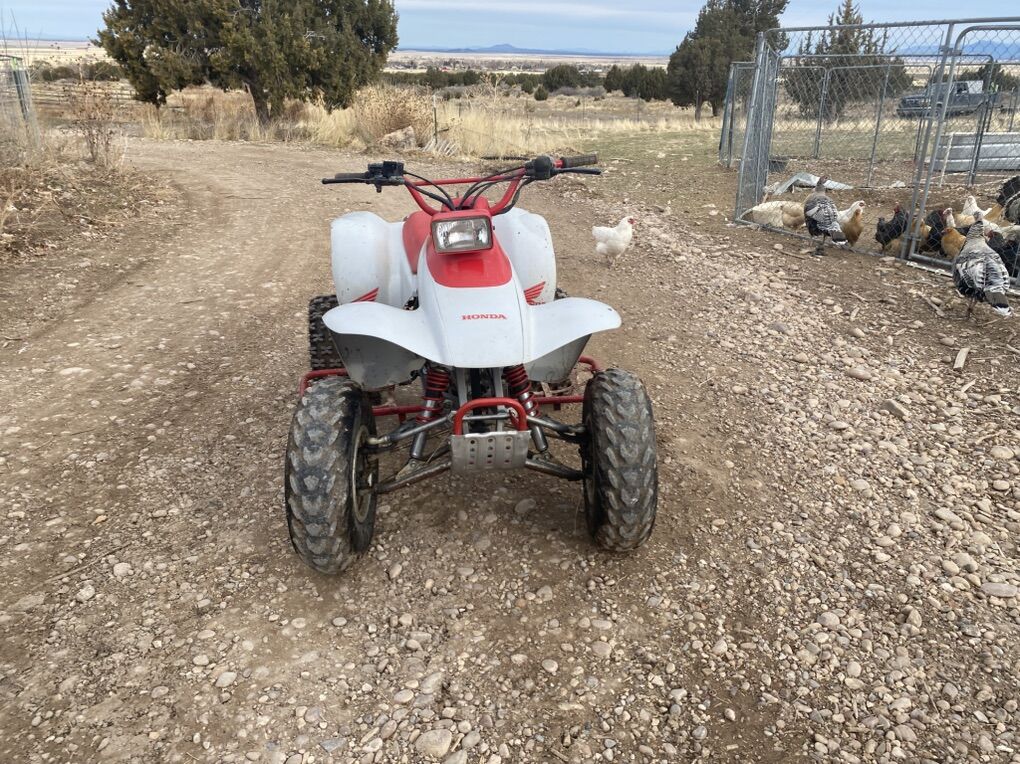 Honda The Trx 250 X