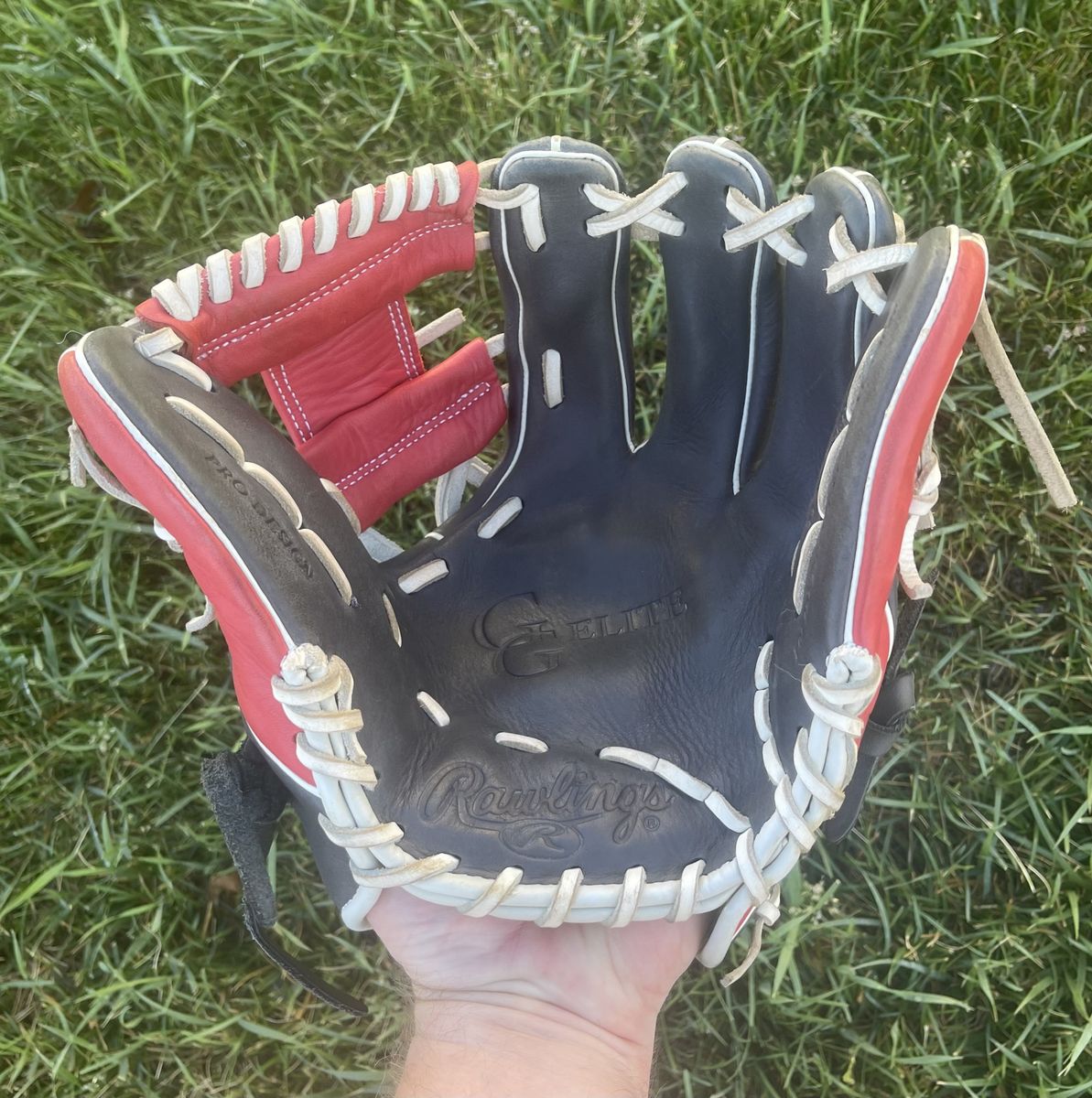 Rawlings Gold Glove Elite 11.5 in. Baseball Glove