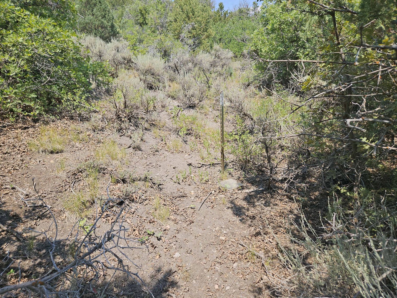 Main image 2